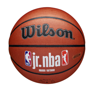 Wilson Jr. NBA WNBA Indoor/Outdoor Ball
