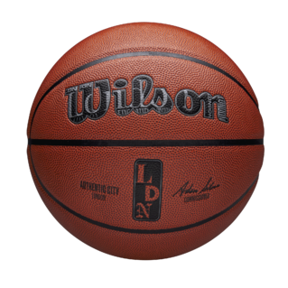 Wilson NBA Authentic Indoor/Outdoor City Basketball London
