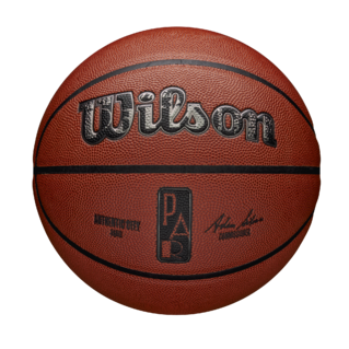 Wilson NBA Authentic Indoor/Outdoor City Basketball Paris