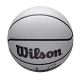Wilson NBA Player Icon UV Basketball - Giannis Size 7