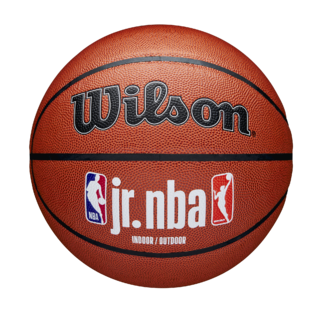 Wilson Jr. NBA WNBA Indoor/Outdoor Ball