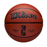 Wilson NBA Authentic Indoor/Outdoor City Basketball Chicago
