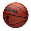 Wilson NBA Authentic Indoor/Outdoor City Basketball Chicago