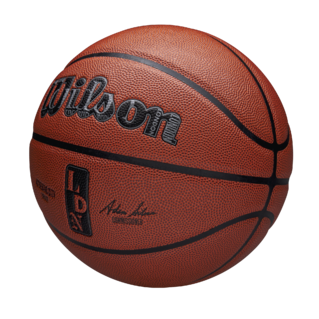 Wilson NBA Authentic Indoor/Outdoor City Basketball London