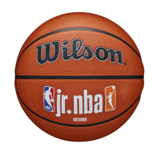 Wilson Jr. NBA Fam Logo Authentic Outdoor Basketball*