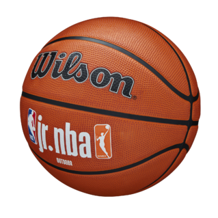 Wilson Jr. NBA Fam Logo Authentic Outdoor Basketball*