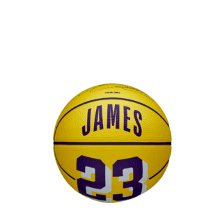 Wilson NBA Player Icon Mini Basketball Lebron James