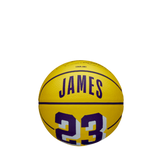 Wilson NBA Player Icon Mini Basketball Lebron James