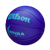Wilson WNBA DRV Blue/Turquoise Outdoor Basketball