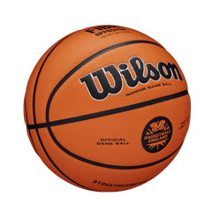 Wilson NBA Authentic Performance Net